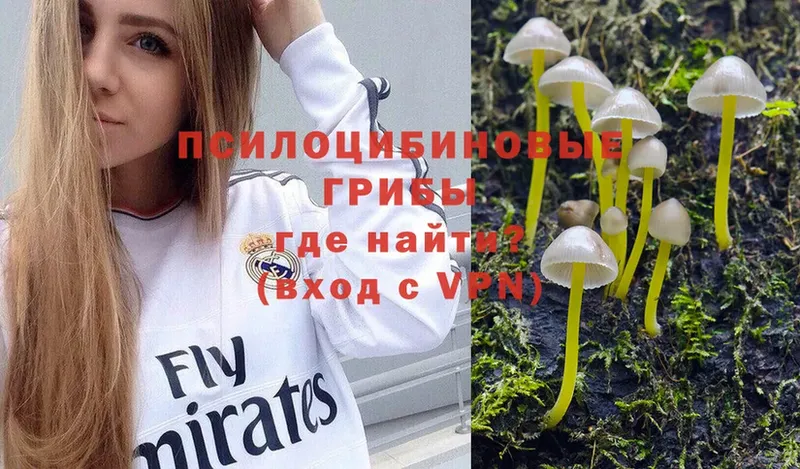 Галлюциногенные грибы Psilocybe  Набережные Челны 